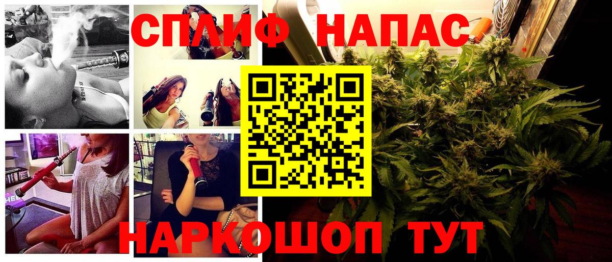 Конопля индика Новокубанск